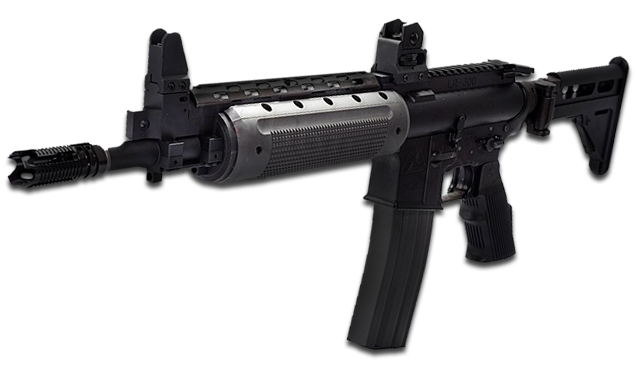 ������� | ��������� �������� Z-M Weapons "LR-300" | Para USA "TTR"