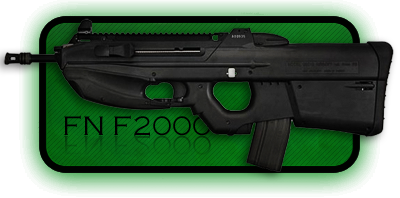  |   FN F2000