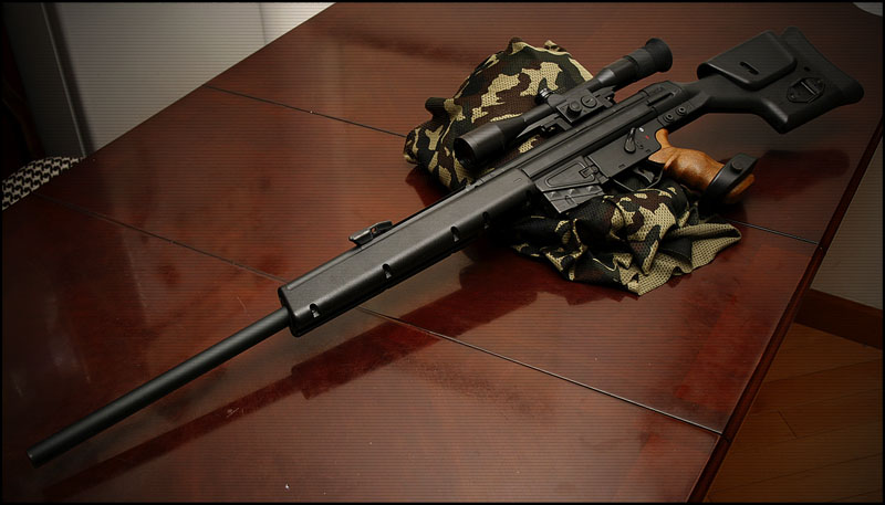 Снайперская Винтовка HK PSG-1