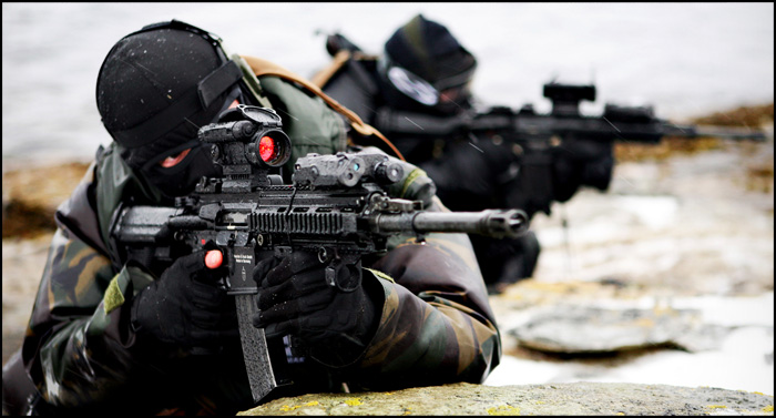 Автомат | Штурмовая Винтовка HK 416
