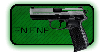  FN FNP