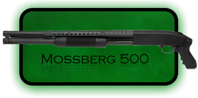   |  Mossberg 500