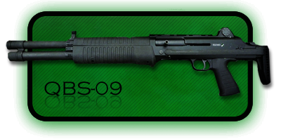 Гладкоствольное ружье | Дробовик QBS-09
